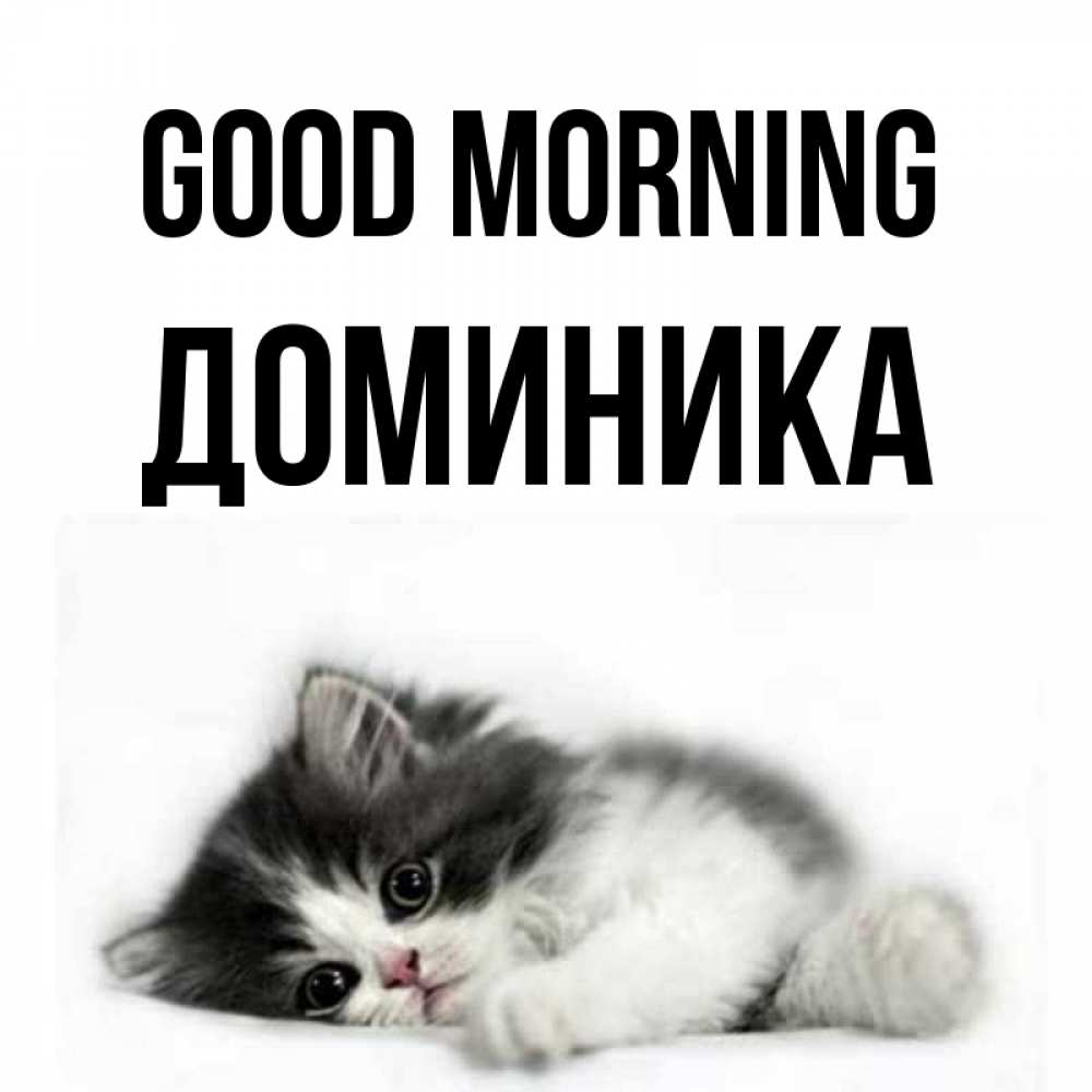 Greetings card с именем, Доминика Good morning кот лапки Greetings with text for free download 