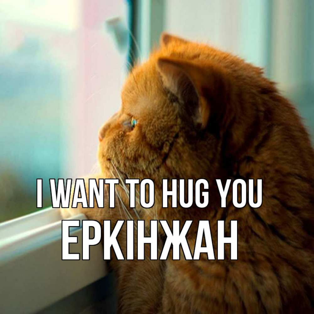 Greetings card с именем, Еркінжан I want to hug you большой огромный рыжий котяра Greetings with text for free download 