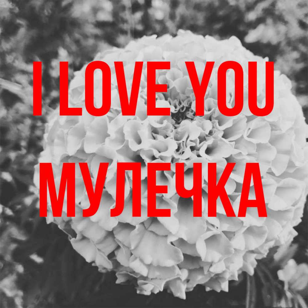 Greetings card с именем, Мулечка I love you подпись Greetings with text for free download 