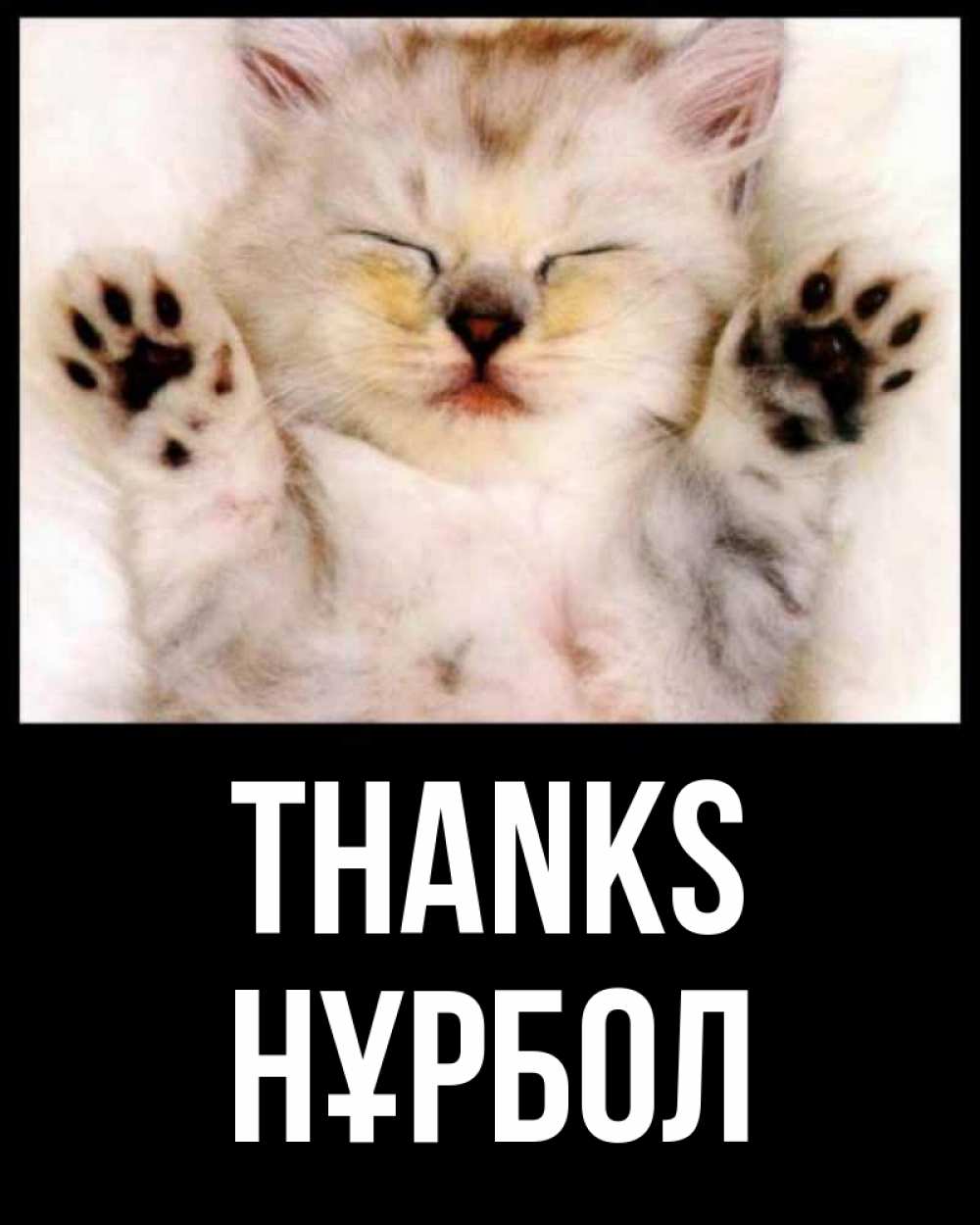 Greetings card с именем, НҰРБОЛ Thanks маленький котенок Greetings with text for free download 