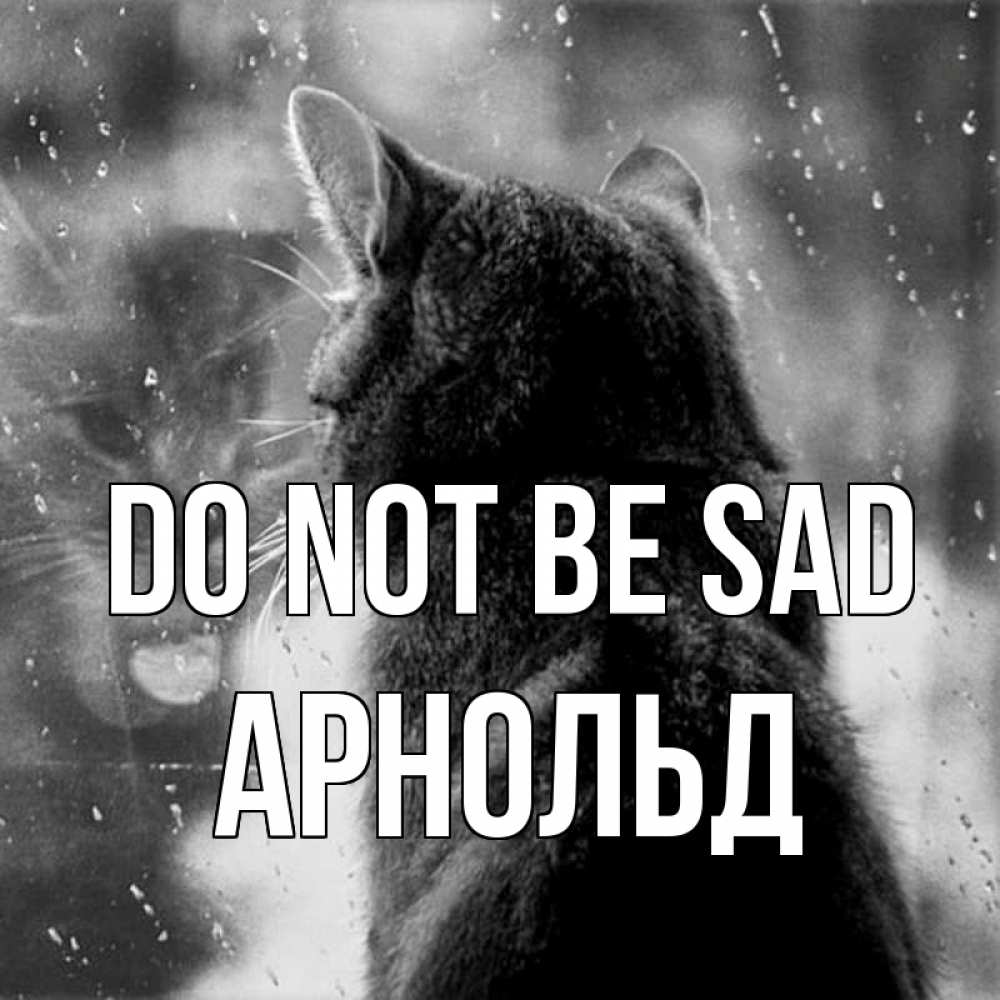 Greetings card с именем, Арнольд Do not be sad отражение кота 1 Greetings with text for free download 