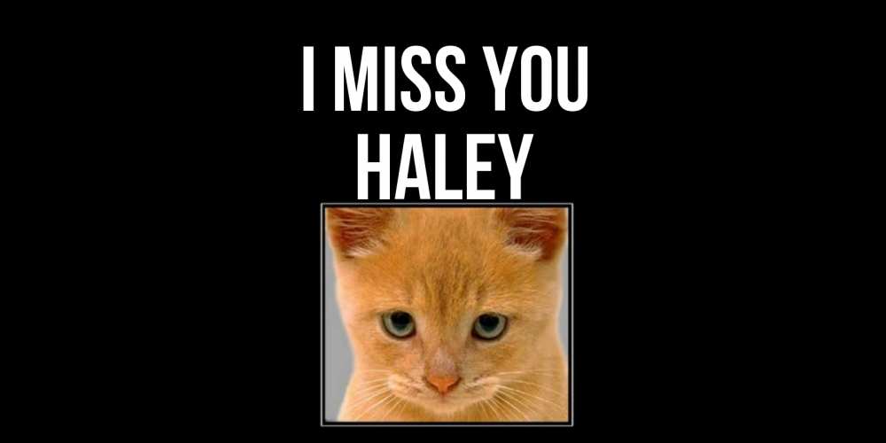 Greetings card с именем, Haley I miss you открытки рыжий котенок скучает по тебе Greetings with text for free download 