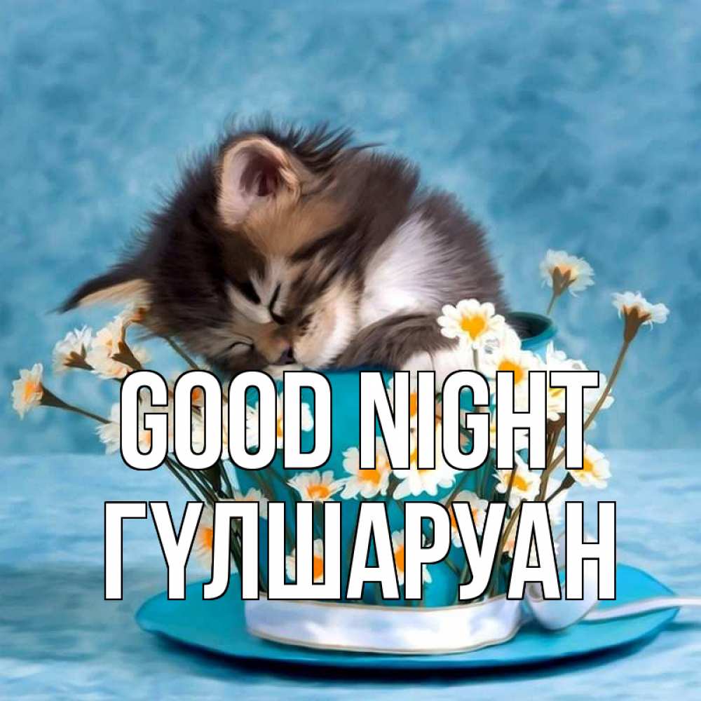 Greetings card с именем, ГҮЛШАРУАН Good night котенок спит в кружке с блюдцем Greetings with text for free download 
