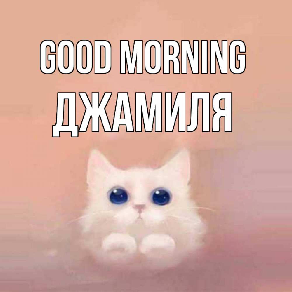 Greetings card с именем, Джамиля Good morning на розовом фоне Greetings with text for free download 