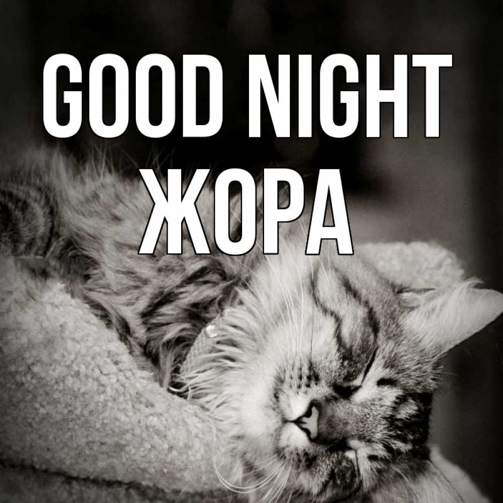 Greetings card с именем, Жора Good night котярик пушистый Greetings with text for free download 