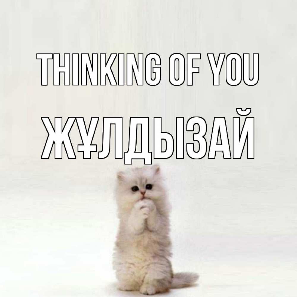 Greetings card с именем, ЖҰЛДЫЗАЙ Thinking of you кот стоит на задних лапах Greetings with text for free download 