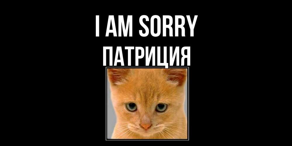 Greetings card с именем, Патриция I am sorry рыжий грустный кот просит прощения Greetings with text for free download 
