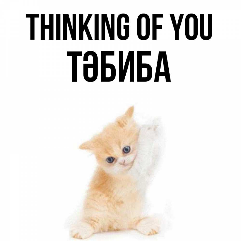 Greetings card с именем, ТӘБИБА Thinking of you зверушки и милота Greetings with text for free download 