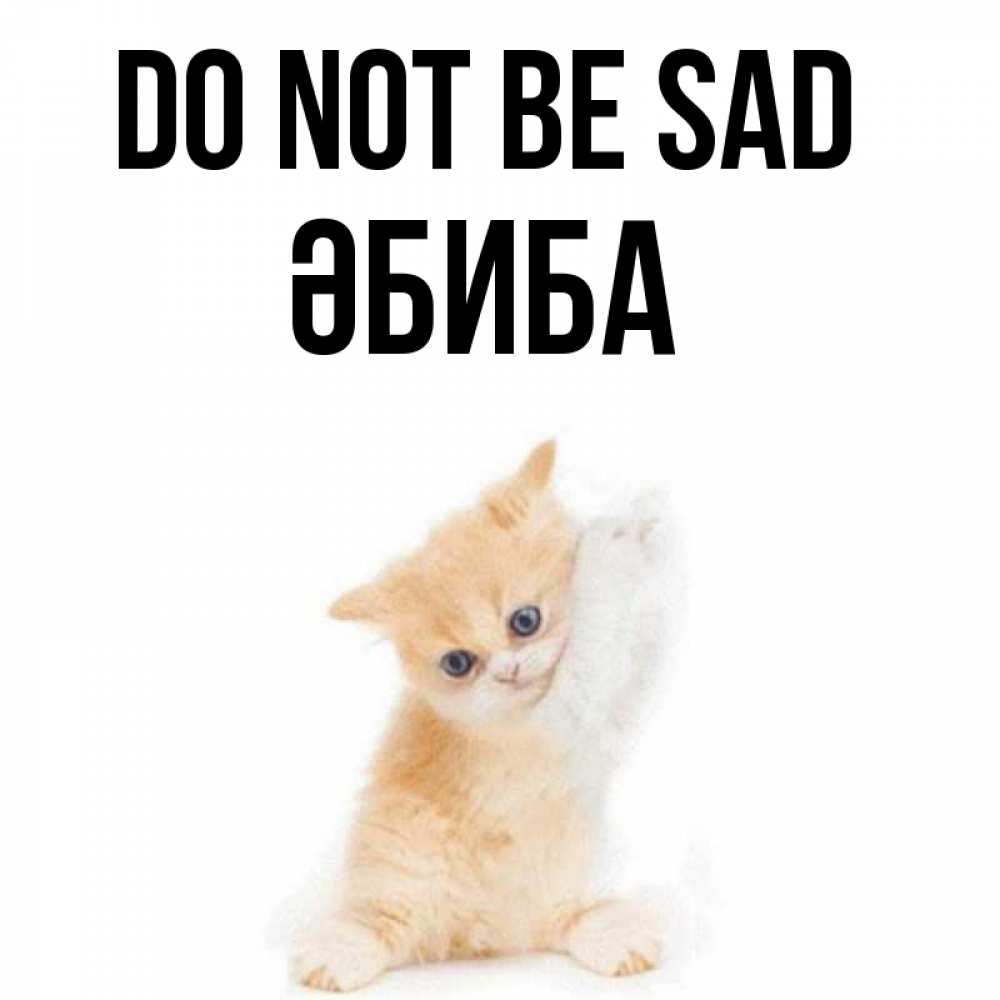 Greetings card с именем, ӘБИБА Do not be sad просящий кот Greetings with text for free download 