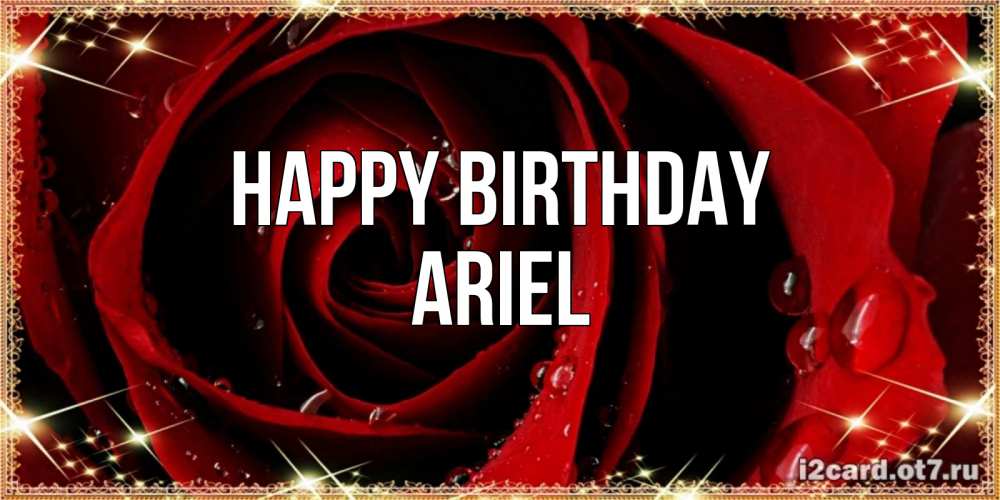 Greetings card с именем, Ariel Happy Birthday цветок в росе на день рождения Greetings with text for free download 