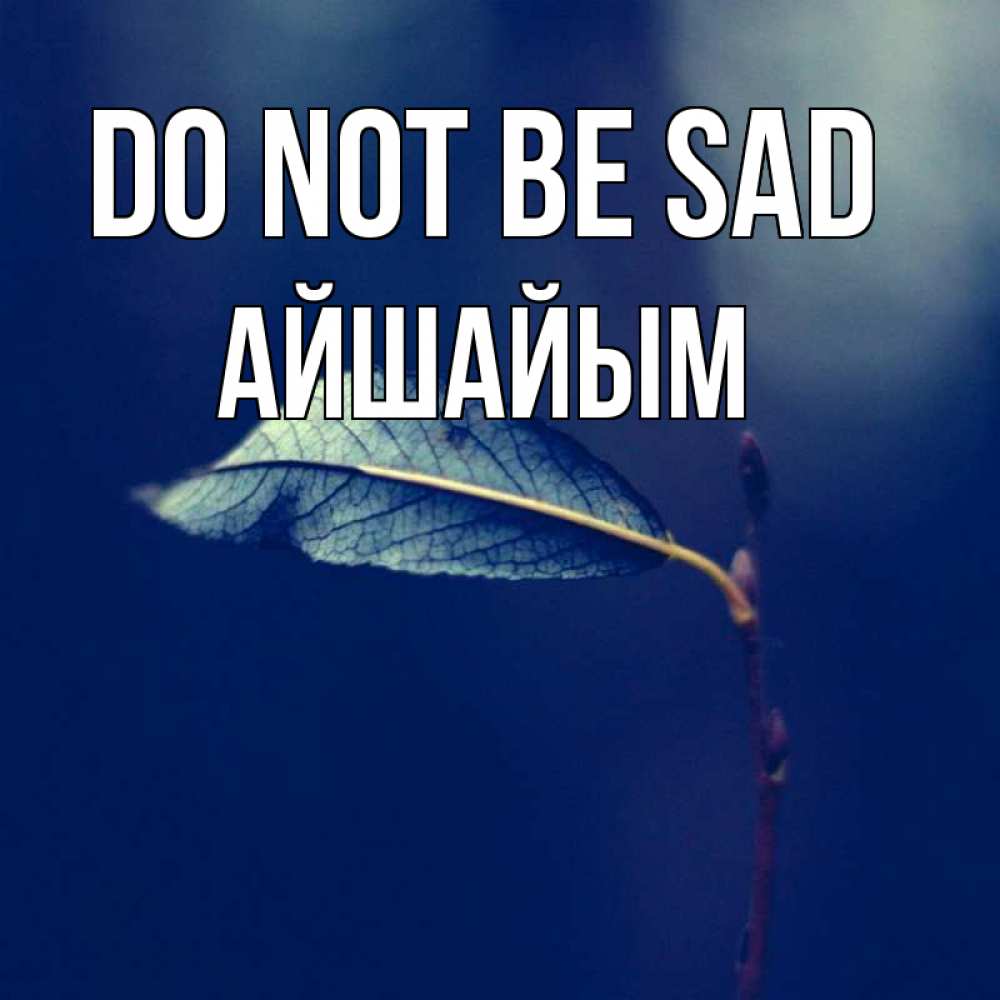 Greetings card с именем, АЙШАЙЫМ Do not be sad растение Greetings with text for free download 