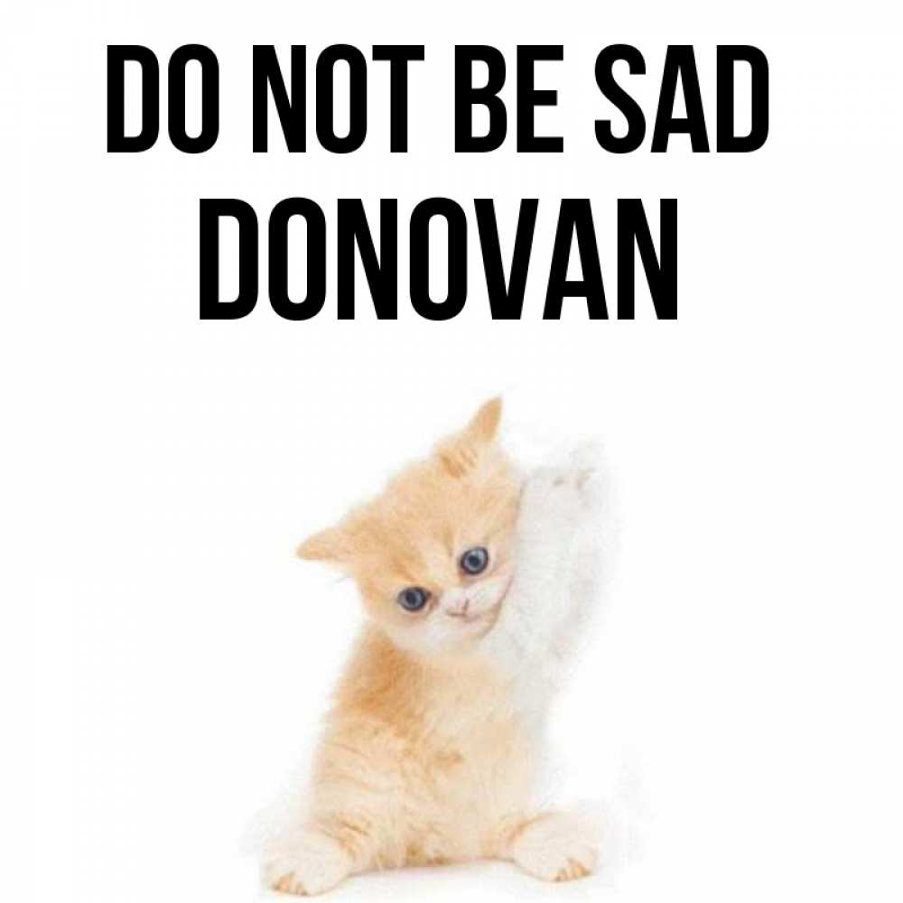 Greetings card с именем, Donovan Do not be sad просящий кот Greetings with text for free download 