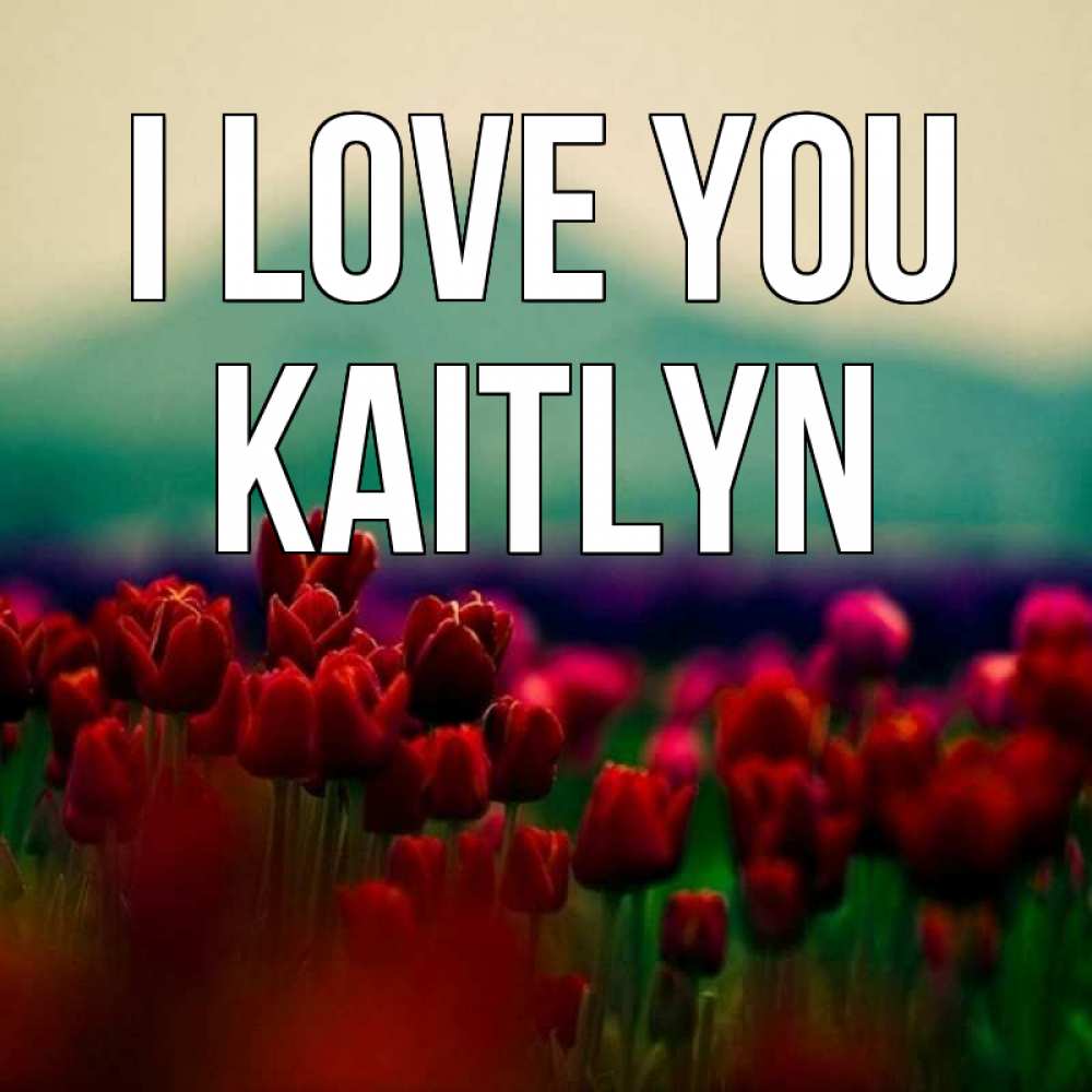 Greetings card с именем, Kaitlyn I love you тюльпаны 4 Greetings with text for free download 