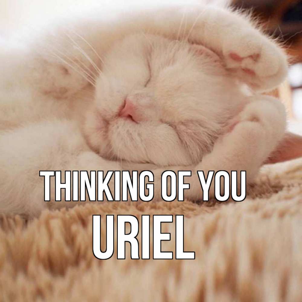 Greetings card с именем, Uriel Thinking of you для любимой девушки милота Greetings with text for free download 