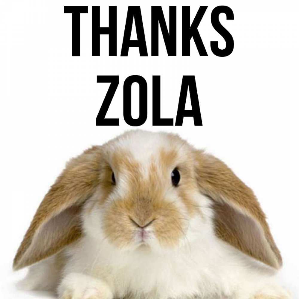 Greetings card с именем, Zola Thanks коричнево белый заяц Greetings with text for free download 