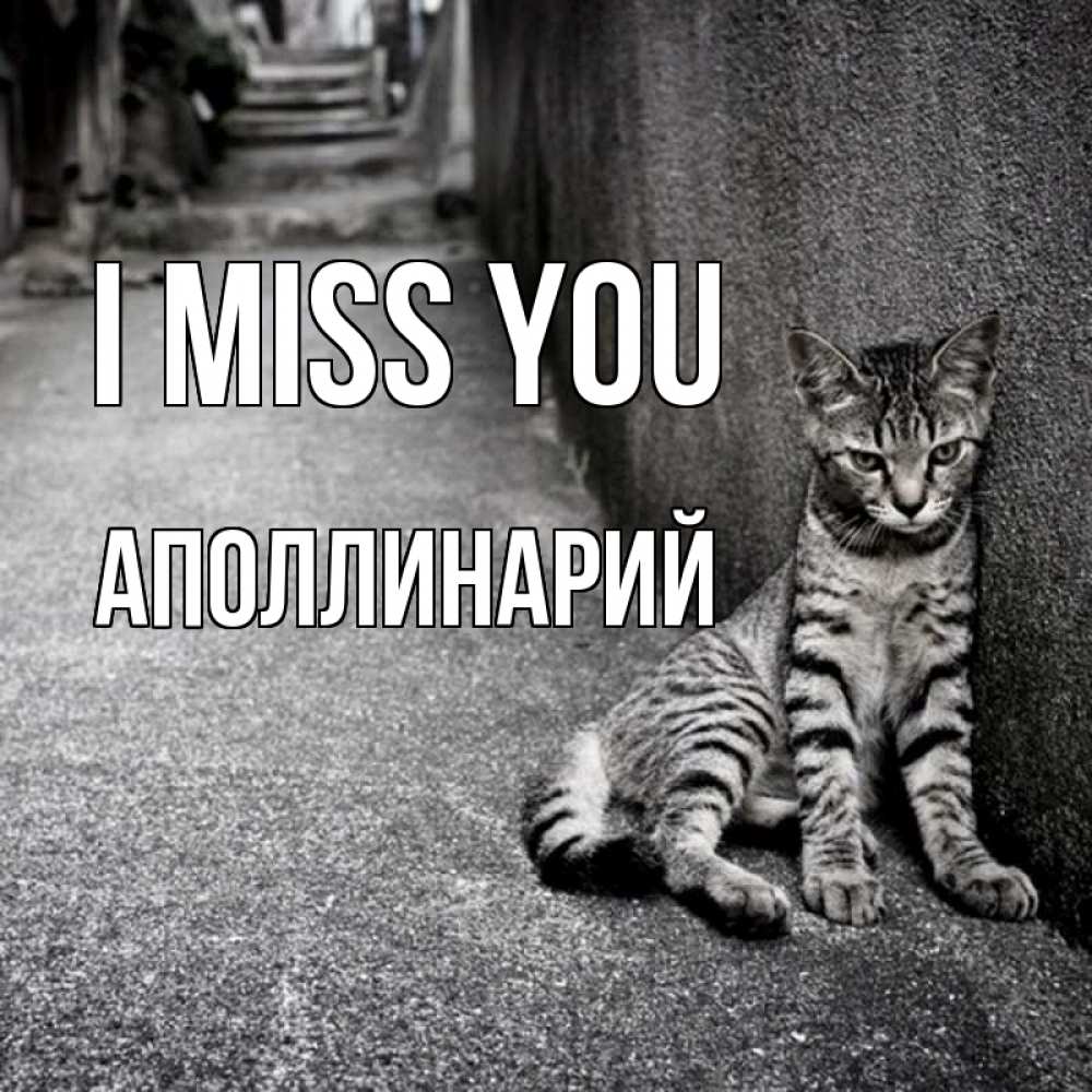 Greetings card с именем, Аполлинарий I miss you одиноко котику Greetings with text for free download 