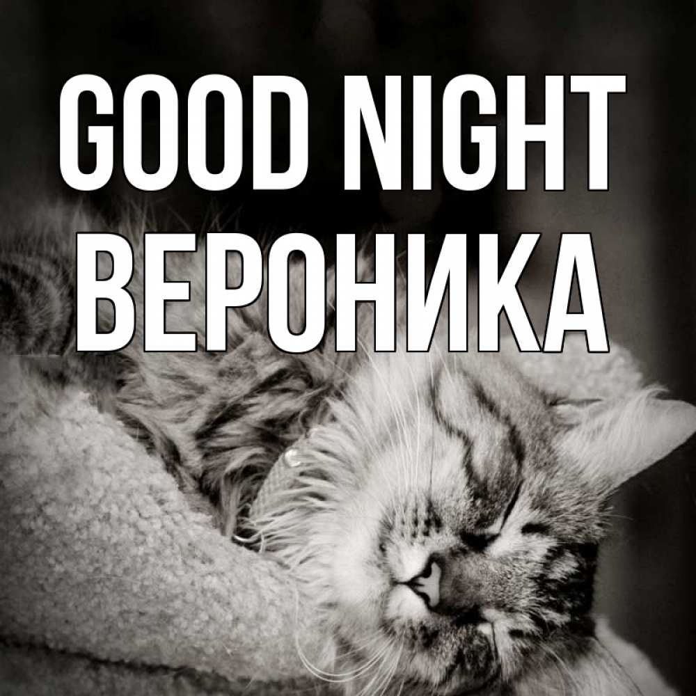 Greetings card с именем, Вероника Good night котярик пушистый Greetings with text for free download 