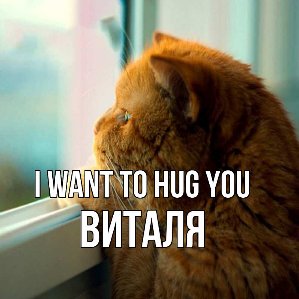 Greetings card с именем, Виталя I want to hug you большой огромный рыжий котяра Greetings with text for free download 