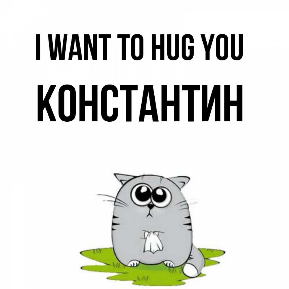 Greetings card с именем, Константин I want to hug you котик теребит платочек сидя на травке Greetings with text for free download 