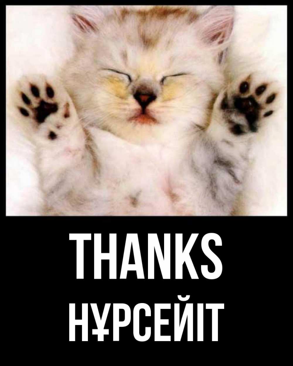 Greetings card с именем, НҰРСЕЙІТ Thanks маленький котенок Greetings with text for free download 