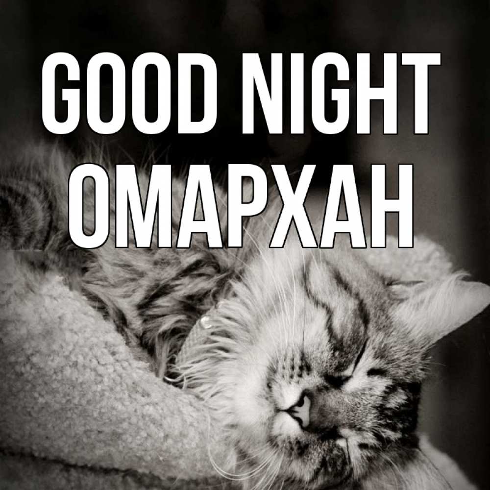 Greetings card с именем, ОМАРХАН Good night котярик пушистый Greetings with text for free download 