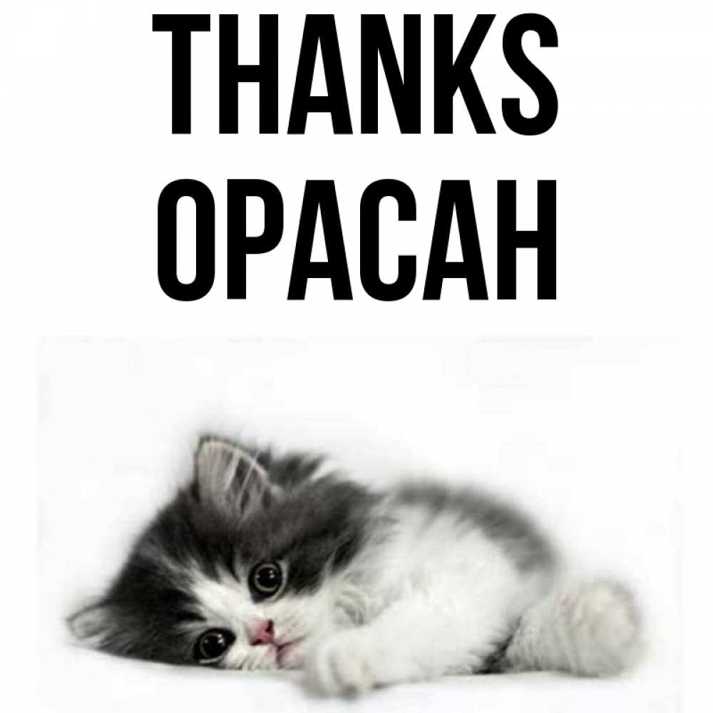 Greetings card с именем, ОРАСАН Thanks черный и белый кот Greetings with text for free download 
