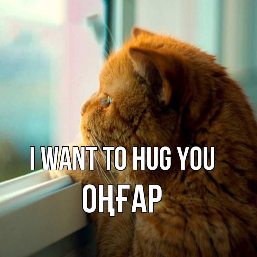 Greetings card с именем, ОҢҒАР I want to hug you большой огромный рыжий котяра Greetings with text for free download 