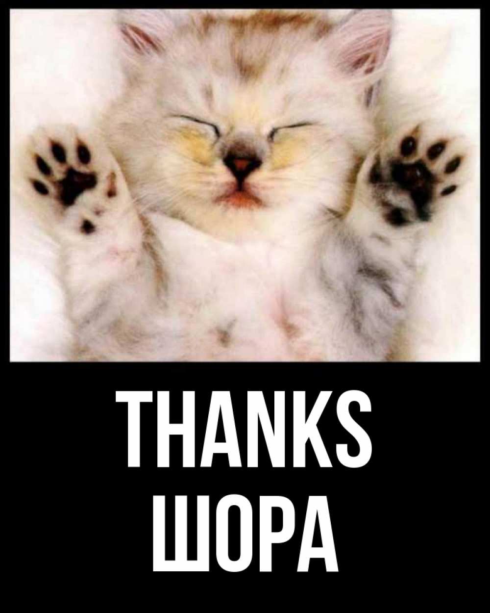 Greetings card с именем, ШОРА Thanks маленький котенок Greetings with text for free download 