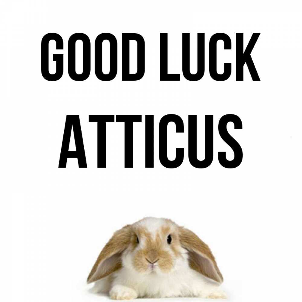 Greetings card с именем, Atticus Good luck открытки с произвольным текстом который можно вставить в открытку и создать ее самостоятельно бесплатно онлайн Greetings with text for free download 