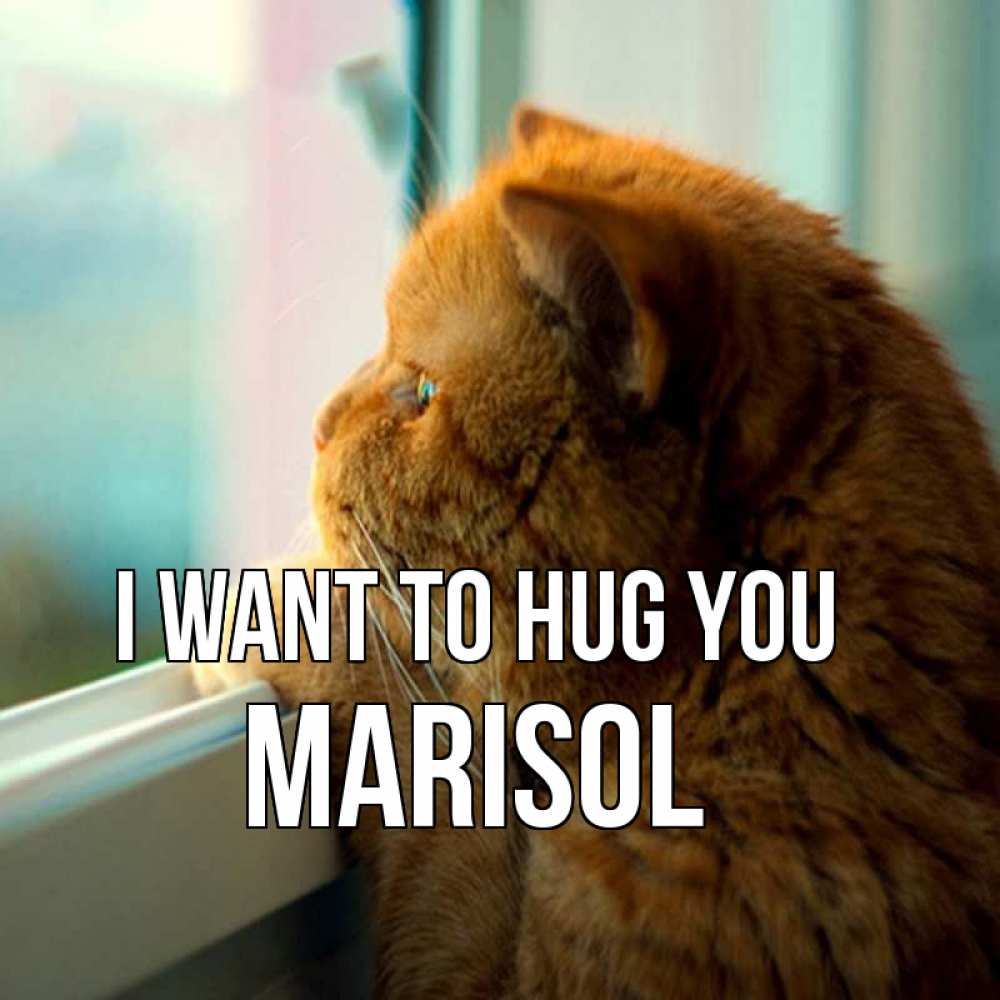 Greetings card с именем, Marisol I want to hug you большой огромный рыжий котяра Greetings with text for free download 
