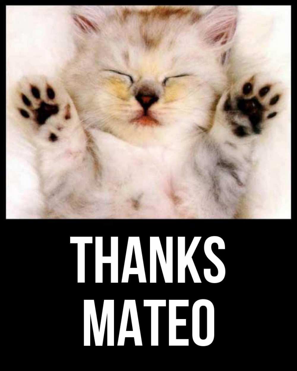 Greetings card с именем, Mateo Thanks маленький котенок Greetings with text for free download 
