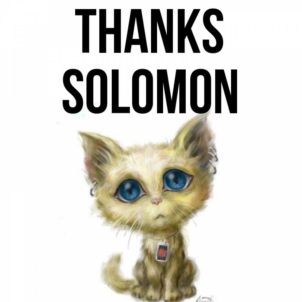 Greetings card с именем, Solomon Thanks рисованный кот благодарит вас Greetings with text for free download 