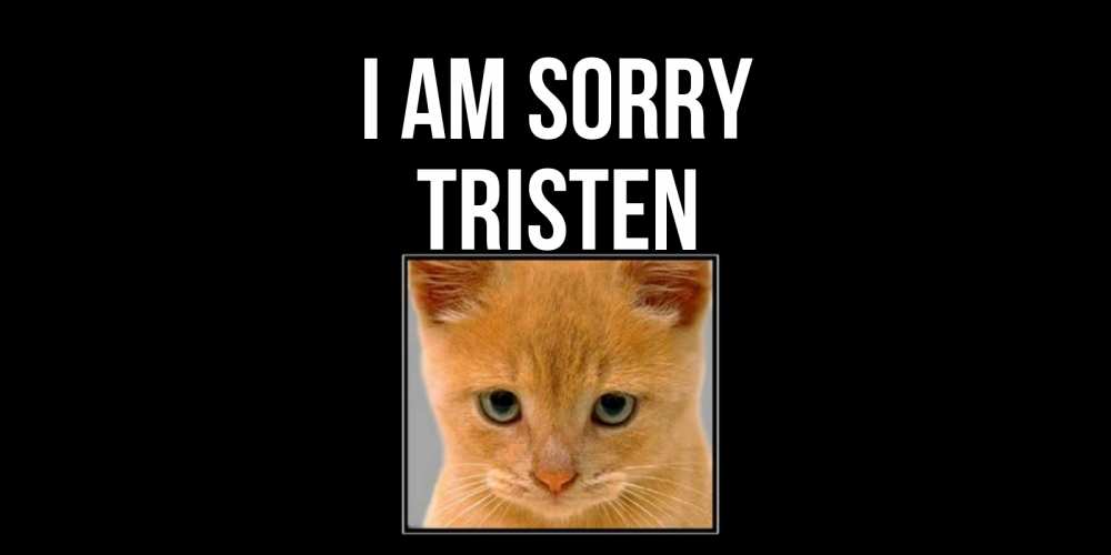 Greetings card с именем, Tristen I am sorry рыжий грустный кот просит прощения Greetings with text for free download 