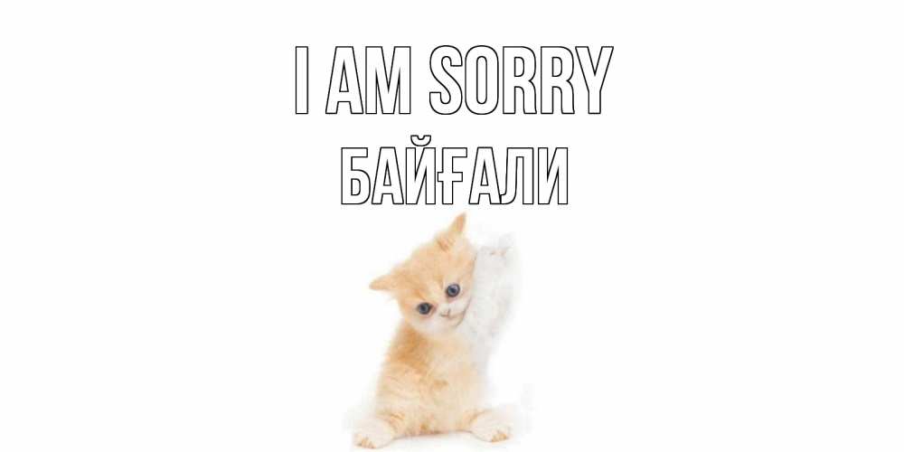 Greetings card с именем, Байғали I am sorry кот Greetings with text for free download 