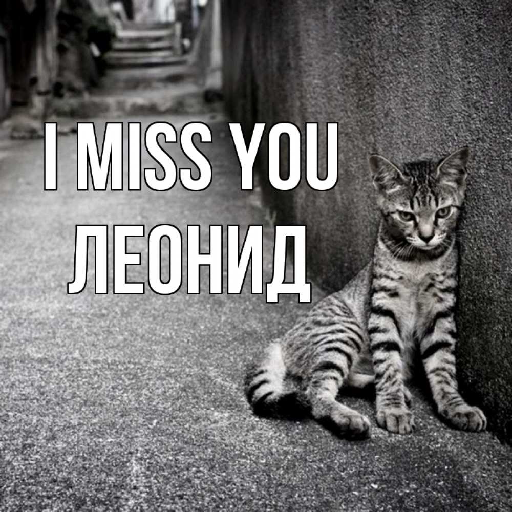 Greetings card с именем, Леонид I miss you одиноко котику Greetings with text for free download 