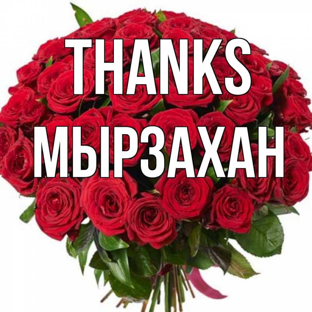 Greetings card с именем, Мырзахан Thanks букет красных роз Greetings with text for free download 