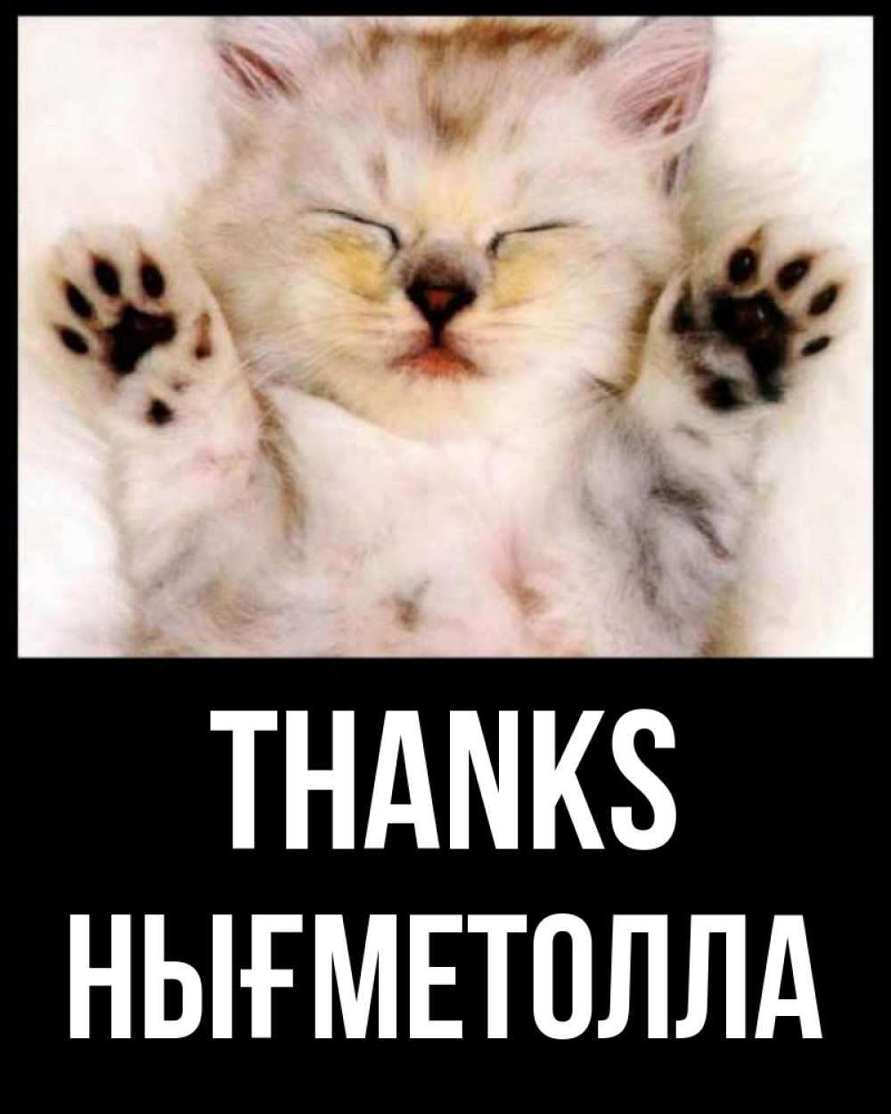Greetings card с именем, НЫҒМЕТОЛЛА Thanks маленький котенок Greetings with text for free download 