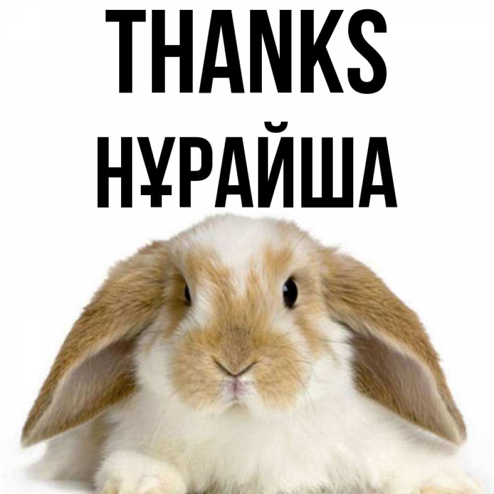 Greetings card с именем, НҰРАЙША Thanks коричнево белый заяц Greetings with text for free download 
