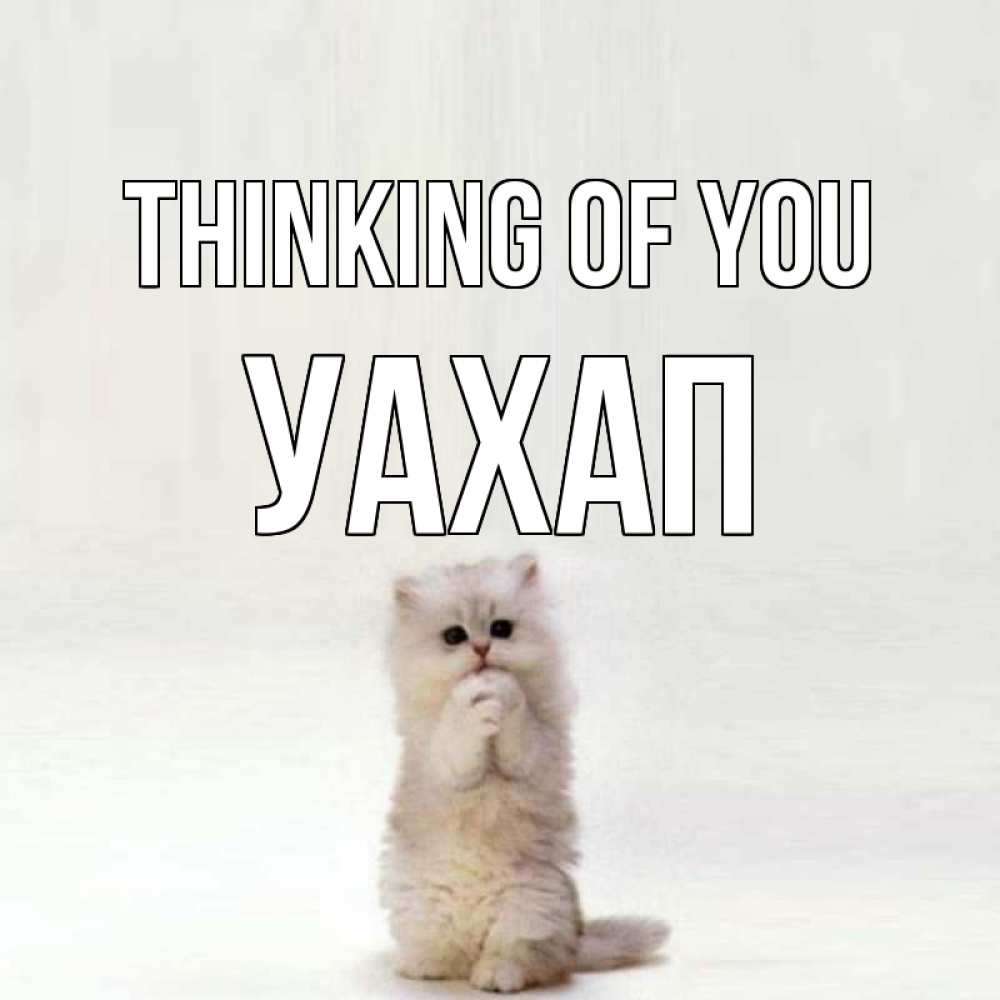Greetings card с именем, УАХАП Thinking of you кот стоит на задних лапах Greetings with text for free download 
