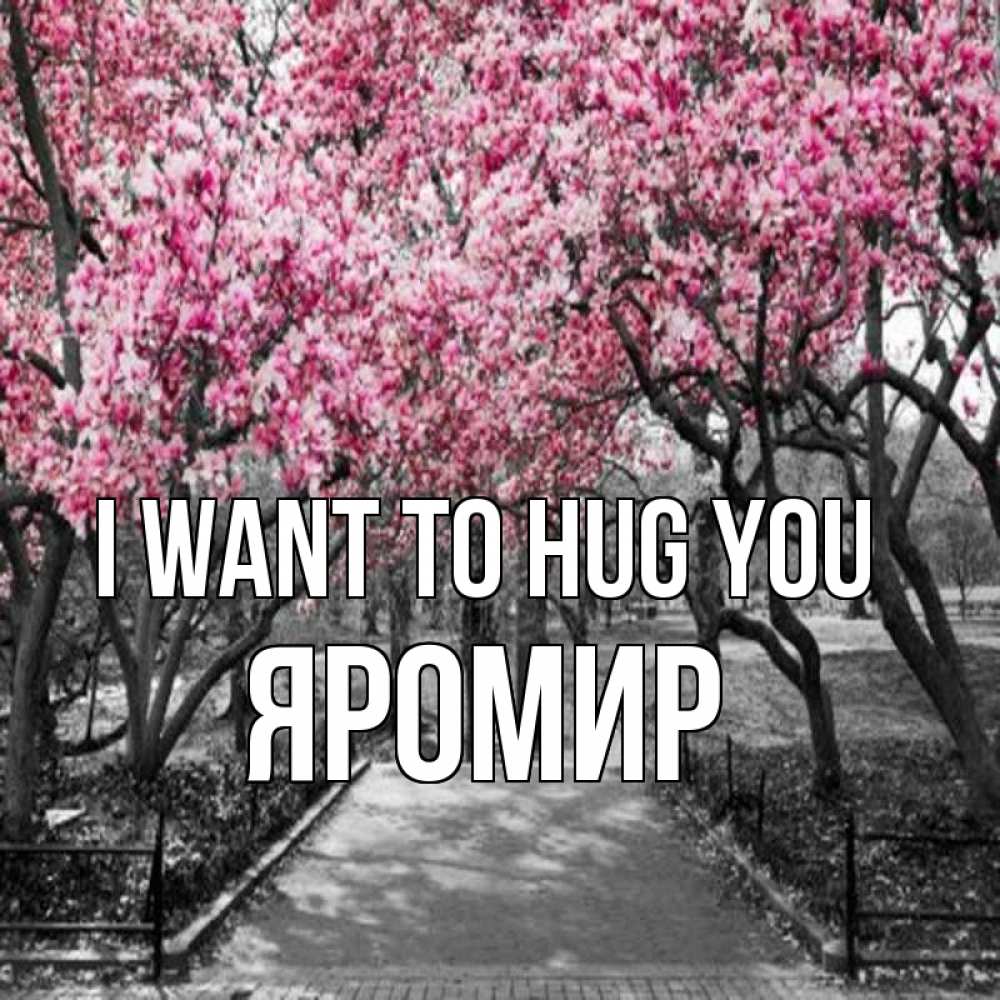 Greetings card с именем, Яромир I want to hug you обработанное фото Greetings with text for free download 