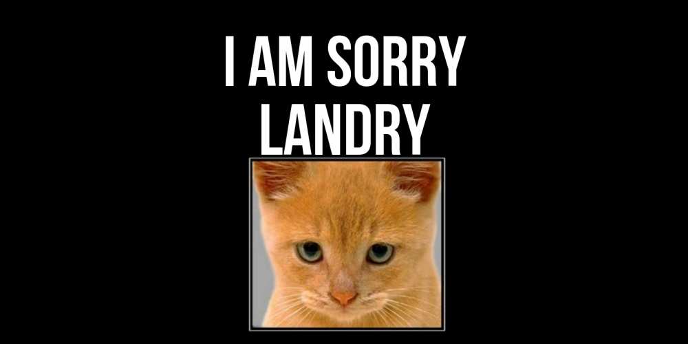 Greetings card с именем, Landry I am sorry рыжий грустный кот просит прощения Greetings with text for free download 