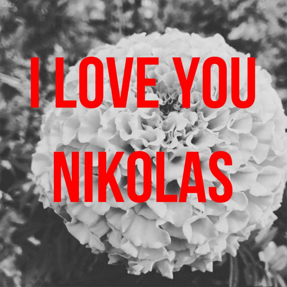 Greetings card с именем, Nikolas I love you подпись Greetings with text for free download 