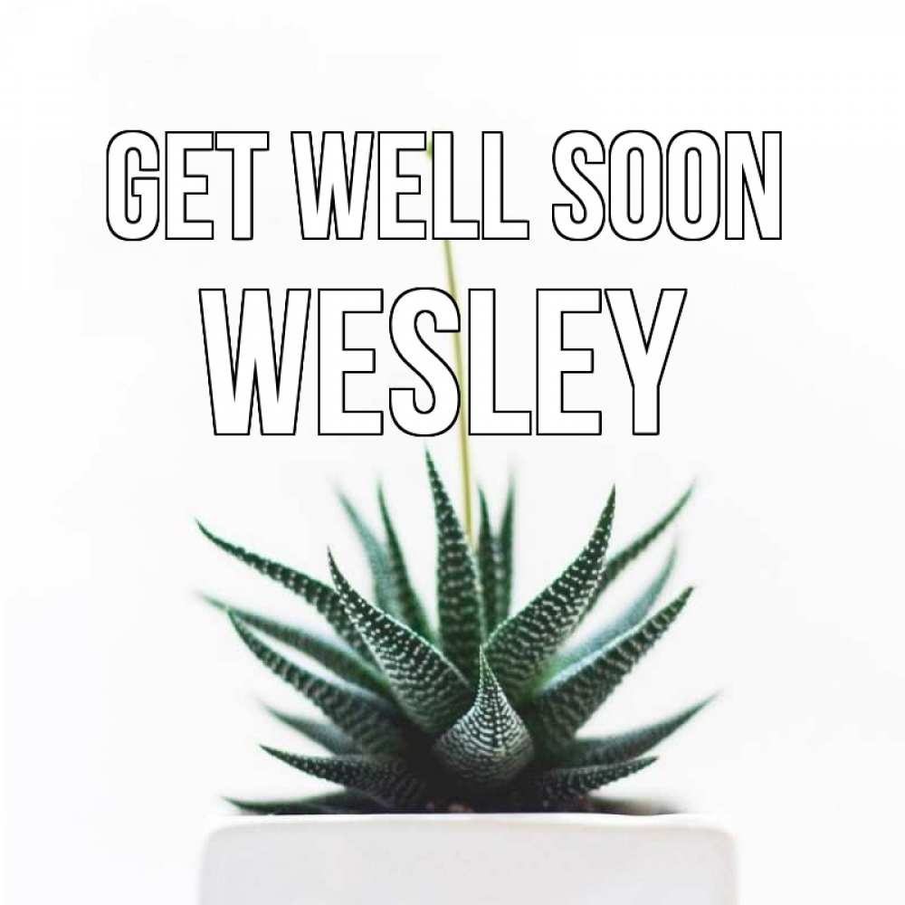 Greetings card с именем, Wesley Get well soon короче это непонятная колючка Greetings with text for free download 