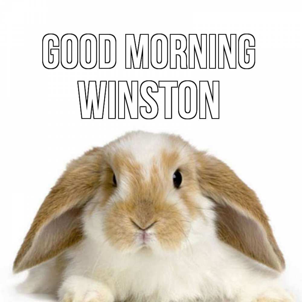 Greetings card с именем, Winston Good morning прикольные открытки на каждый день Greetings with text for free download 