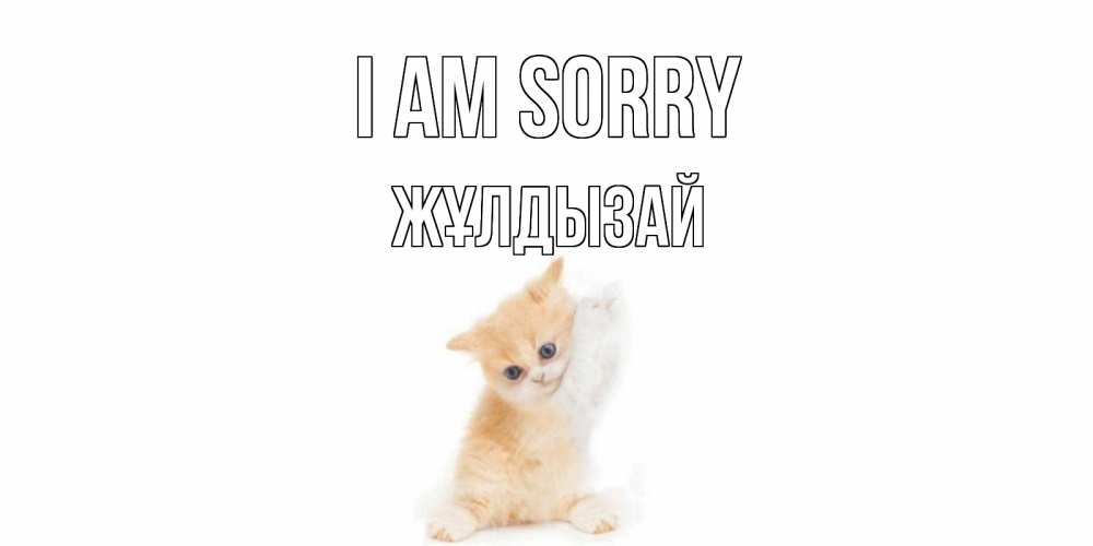 Greetings card с именем, ЖҰЛДЫЗАЙ I am sorry кот Greetings with text for free download 