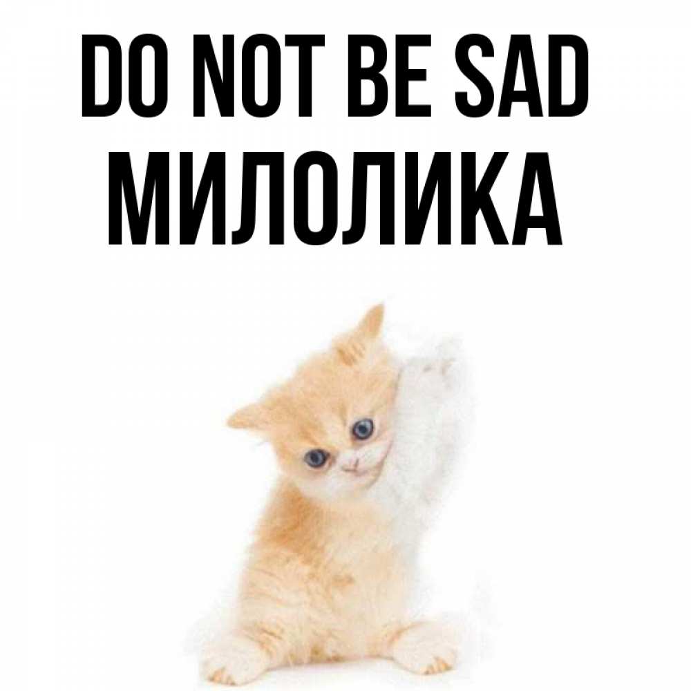 Greetings card с именем, Милолика Do not be sad просящий кот Greetings with text for free download 