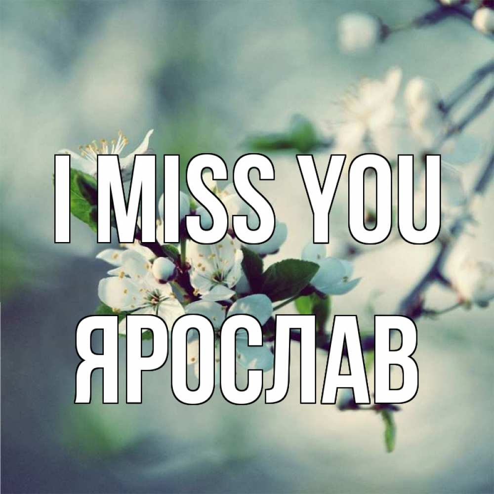 Greetings card с именем, Ярослав I miss you весна Greetings with text for free download 