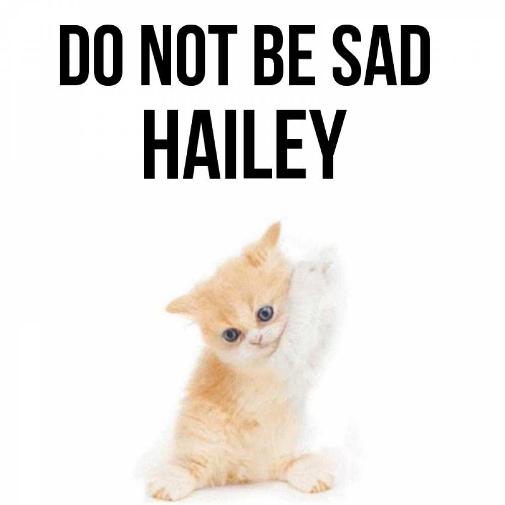 Greetings card с именем, Hailey Do not be sad просящий кот Greetings with text for free download 