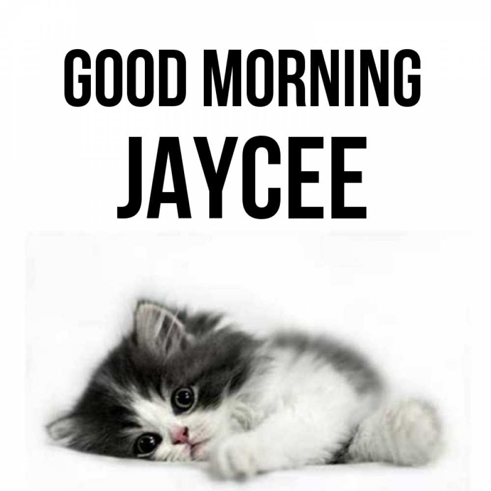 Greetings card с именем, Jaycee Good morning кот лапки Greetings with text for free download 