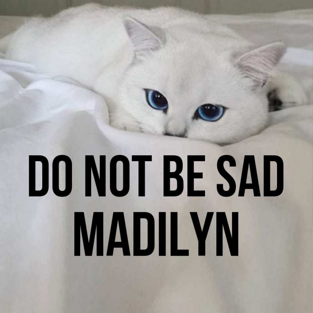 Greetings card с именем, Madilyn Do not be sad Голубоглазая кошка Greetings with text for free download 